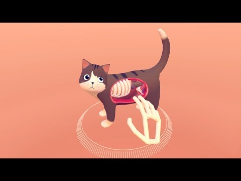 Virtuelle Sezierung einer digitalen Katze lyteCache.php?origThumbUrl=%2F%2Fi.ytimg.com%2Fvi%2F9KCA44GZRQg%2Fhqdefault 