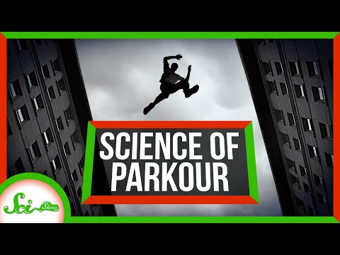 The Science of Parkour lyteCache.php?origThumbUrl=https%3A%2F%2Fi.ytimg.com%2Fvi%2F-UmH-PQ_O2U%2F0 