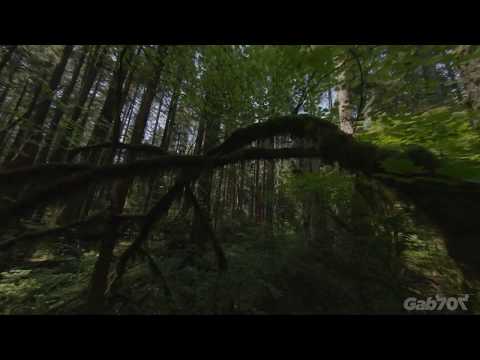 Ein entspannter Flug mit der Kameradrohne durch den Wald lyteCache.php?origThumbUrl=https%3A%2F%2Fi.ytimg.com%2Fvi%2F-kEhDd2a49I%2F0 