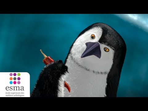 Pinguine haben Chili-Schoten für sich entdeckt lyteCache.php?origThumbUrl=https%3A%2F%2Fi.ytimg.com%2Fvi%2F1Lhdh5CsPLo%2F0 