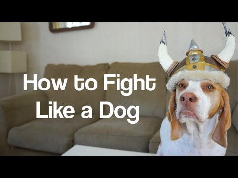 How to Fight Like a Dog lyteCache.php?origThumbUrl=https%3A%2F%2Fi.ytimg.com%2Fvi%2F3EgoWmmzjAg%2F0 