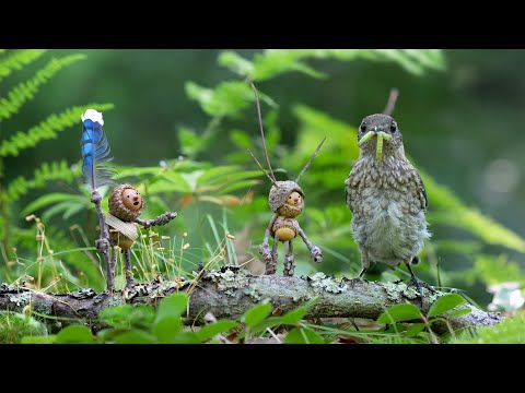 Wie David M Bird Fotos von Tieren mit Miniaturfiguren macht lyteCache.php?origThumbUrl=https%3A%2F%2Fi.ytimg.com%2Fvi%2F3auU2OIe_gA%2F0 