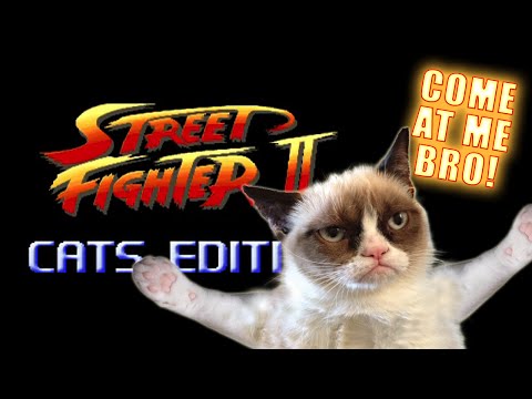 Street Fighter: Cats Edition lyteCache.php?origThumbUrl=https%3A%2F%2Fi.ytimg.com%2Fvi%2F6sGrzzNYUxE%2F0 