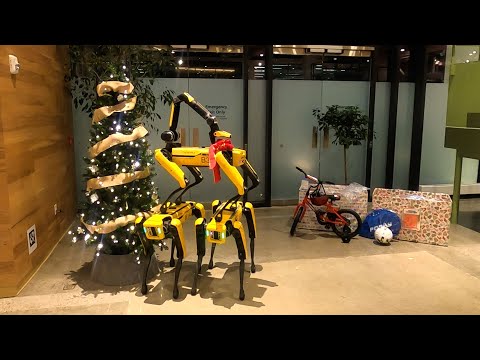 Weihnachtsbaum-schmückender Roboterhund lyteCache.php?origThumbUrl=https%3A%2F%2Fi.ytimg.com%2Fvi%2F7Wm6vy7yBNA%2F0 