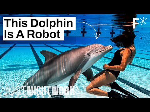 Delle ist ein hyperrealistischer Roboter-Delphin lyteCache.php?origThumbUrl=https%3A%2F%2Fi.ytimg.com%2Fvi%2FAZeyHTJfi_E%2F0 