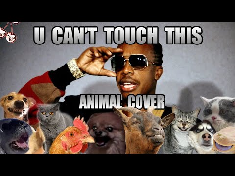 "U Can't Touch This" mit Tiergeräuschen nachgestellt lyteCache.php?origThumbUrl=https%3A%2F%2Fi.ytimg.com%2Fvi%2FB1aLO2o8Cp4%2F0 