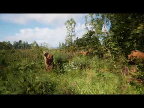 Neue Unreal-Engine-Grafik-Demo: Superrealistischer CGI-Wald lyteCache.php?origThumbUrl=https%3A%2F%2Fi.ytimg.com%2Fvi%2FCM1VF5nZixM%2F0 