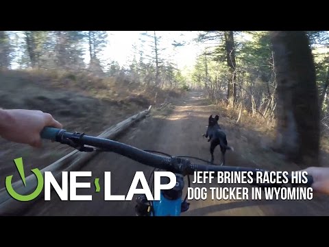 Downhill: Hund vs. Mountainbike lyteCache.php?origThumbUrl=https%3A%2F%2Fi.ytimg.com%2Fvi%2FCd8Os7Li8N8%2F0 