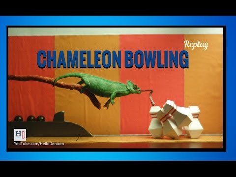 Chameleon Bowling lyteCache.php?origThumbUrl=https%3A%2F%2Fi.ytimg.com%2Fvi%2FCpjQScQDrwM%2F0 