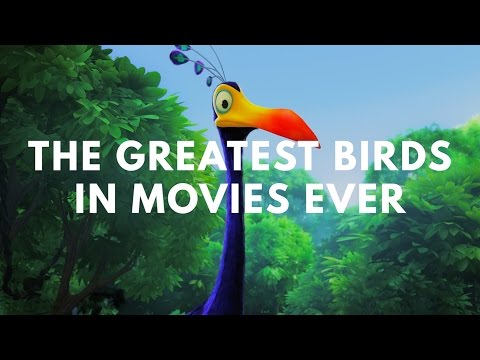 Vögel in Filmen lyteCache.php?origThumbUrl=https%3A%2F%2Fi.ytimg.com%2Fvi%2FDRZ9h1Frue4%2F0 