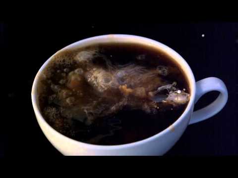 Milch in Kaffee @ 2.000 fps lyteCache.php?origThumbUrl=https%3A%2F%2Fi.ytimg.com%2Fvi%2FEzkXDz_ajl4%2F0 