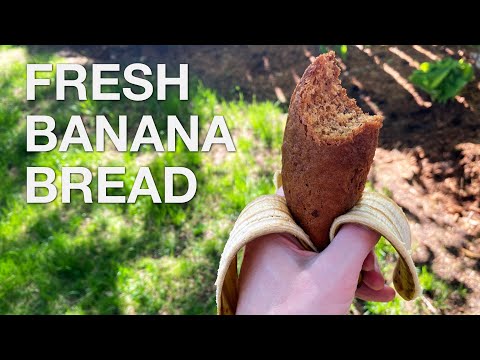 You Suck at Cooking - Banana Bread (Episode 110) lyteCache.php?origThumbUrl=https%3A%2F%2Fi.ytimg.com%2Fvi%2FF7EjS8sNSek%2F0 