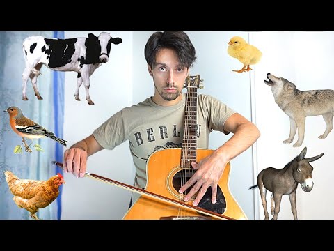 Tiergeräusche auf der Akustikgitarre nachmachen lyteCache.php?origThumbUrl=https%3A%2F%2Fi.ytimg.com%2Fvi%2FF_IKKBHFlo4%2F0 