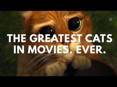 The Greatest Cats In Movies. Ever. lyteCache.php?origThumbUrl=https%3A%2F%2Fi.ytimg.com%2Fvi%2FFkyW3q-Riwk%2F0 