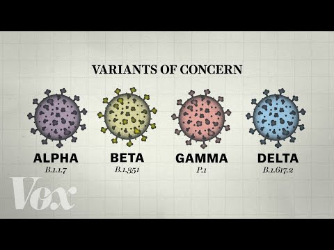 Erklärung: Wie entstehen Coronavirus-Mutationen? lyteCache.php?origThumbUrl=https%3A%2F%2Fi.ytimg.com%2Fvi%2FHa6yUxze1vk%2F0 