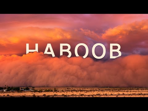 Staubwolken-Timelapse: "Haboob: A Decade of Dust" lyteCache.php?origThumbUrl=https%3A%2F%2Fi.ytimg.com%2Fvi%2FJkDBmsGIG7U%2F0 