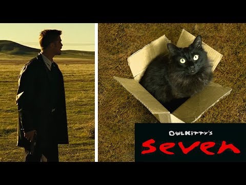 OwlKitty packt seine Katze in Serien, Filme und Musikvideos lyteCache.php?origThumbUrl=https%3A%2F%2Fi.ytimg.com%2Fvi%2FL2KVvqCFuMQ%2F0 