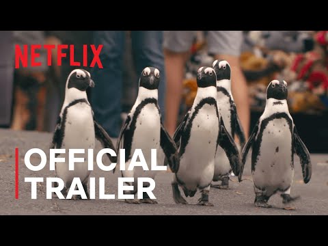 "Penguin Town“: Trailer zum Netflix-Wildlife-Special lyteCache.php?origThumbUrl=https%3A%2F%2Fi.ytimg.com%2Fvi%2FL2X-1Ui3G48%2F0 