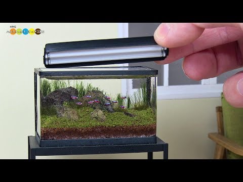 Herstellung eines Miniatur-Aquariums lyteCache.php?origThumbUrl=https%3A%2F%2Fi.ytimg.com%2Fvi%2FLEgki4IYB5I%2F0 