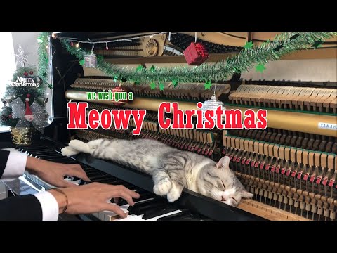 Weihnachtliche Katzen-Klavier-Massage lyteCache.php?origThumbUrl=https%3A%2F%2Fi.ytimg.com%2Fvi%2FM6kyQuJMrtk%2F0 