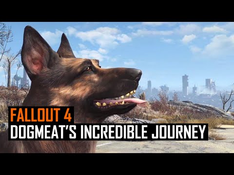 Das macht der Hund in Fallout 4, wenn man ihn heim schickt lyteCache.php?origThumbUrl=https%3A%2F%2Fi.ytimg.com%2Fvi%2FMZYaYWv-JHc%2F0 