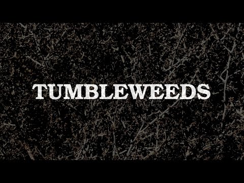 Supercut: Tumbleweeds in Film & Fernsehen lyteCache.php?origThumbUrl=https%3A%2F%2Fi.ytimg.com%2Fvi%2FN7xPxKbxWDQ%2F0 