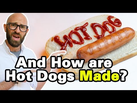 Wieso heißt der Hot Dog eigentlich Hot Dog? lyteCache.php?origThumbUrl=https%3A%2F%2Fi.ytimg.com%2Fvi%2FNwUpotPb8I0%2F0 