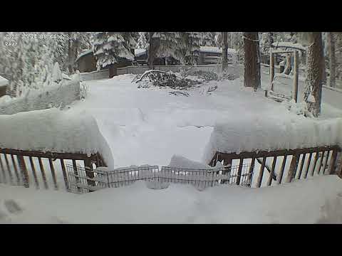 Timelapse: Wie ein Garten nach und nach im Schnee versinkt lyteCache.php?origThumbUrl=https%3A%2F%2Fi.ytimg.com%2Fvi%2FOHKXB2E86zg%2F0 