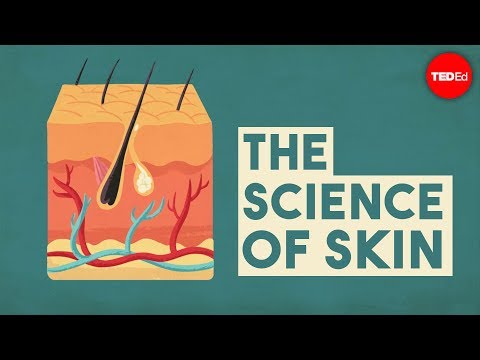 The Science of Skin lyteCache.php?origThumbUrl=https%3A%2F%2Fi.ytimg.com%2Fvi%2FOxPlCkTKhzY%2F0 