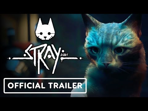 Videospiel "Stray" erscheint Anfang 2022 und hier ist der Gameplay-Trailer lyteCache.php?origThumbUrl=https%3A%2F%2Fi.ytimg.com%2Fvi%2FP4l6uWxe-vk%2F0 