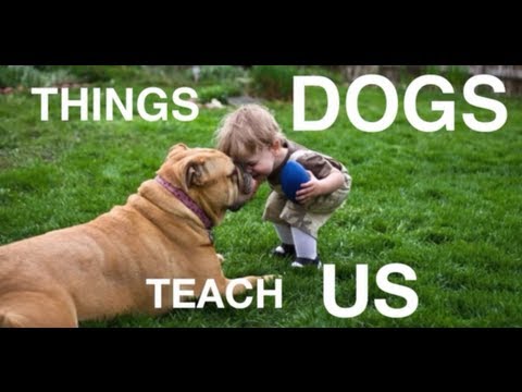 Things Dogs Teach Us lyteCache.php?origThumbUrl=https%3A%2F%2Fi.ytimg.com%2Fvi%2FPKotol5koDA%2F0 