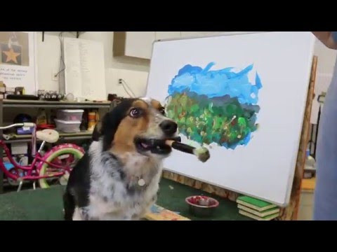 Jumpy der Hund malt gerne impressionistisch lyteCache.php?origThumbUrl=https%3A%2F%2Fi.ytimg.com%2Fvi%2FPiF_pmLCtQM%2F0 