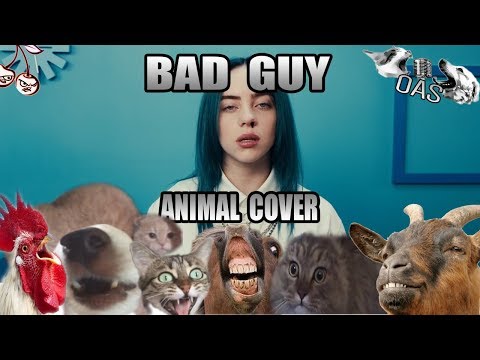 Tiere und Donald Trump singen "Bad Guy" von Billie Eilish lyteCache.php?origThumbUrl=https%3A%2F%2Fi.ytimg.com%2Fvi%2FSERDxD28wow%2F0 