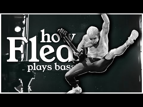 So spielt Chili Peppers-Bassist Flea lyteCache.php?origThumbUrl=https%3A%2F%2Fi.ytimg.com%2Fvi%2FUsEF8WejnEc%2F0 