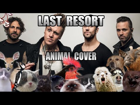 "Last Resort" von Papa Roach mit Tiergeräuschen nachgemacht lyteCache.php?origThumbUrl=https%3A%2F%2Fi.ytimg.com%2Fvi%2FVW3U_5igckI%2F0 