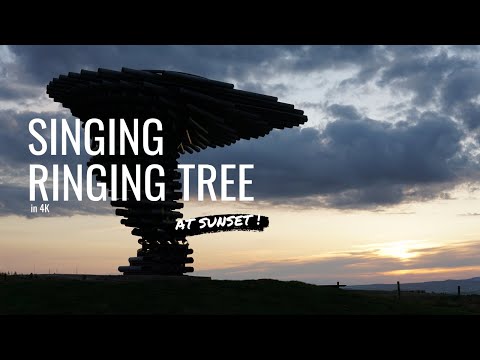 "The Singing Ringing Tree" macht aus Wind Musik lyteCache.php?origThumbUrl=https%3A%2F%2Fi.ytimg.com%2Fvi%2FW07_p8sMofQ%2F0 