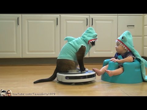 Sharkcat und Sharkbaby haben Spaß lyteCache.php?origThumbUrl=https%3A%2F%2Fi.ytimg.com%2Fvi%2FXbuaUYMwOP8%2F0 