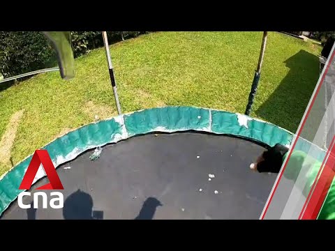 Essenslieferant fragt Kunden, ob er dessen Trampolin nutzen darf lyteCache.php?origThumbUrl=https%3A%2F%2Fi.ytimg.com%2Fvi%2FaFyZ2gsrDNs%2F0 