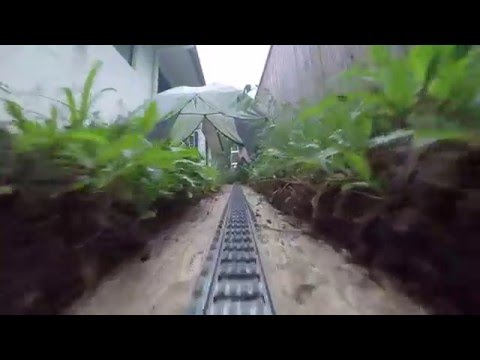 Mit der LEGO-Eisenbahn durch den Garten lyteCache.php?origThumbUrl=https%3A%2F%2Fi.ytimg.com%2Fvi%2Faqpe3gKXlH4%2F0 