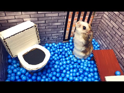 Selbstgebasteltes Hamster-Labyrinth lyteCache.php?origThumbUrl=https%3A%2F%2Fi.ytimg.com%2Fvi%2Fb2xgiHVjT7o%2F0 