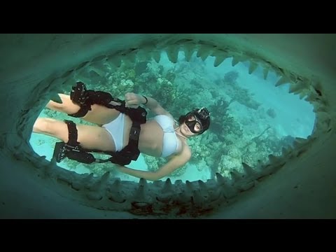 Mit GoPro und Haien unter Wasser lyteCache.php?origThumbUrl=https%3A%2F%2Fi.ytimg.com%2Fvi%2Fbj5ufMLKYhk%2F0 