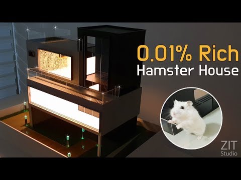 Luxus-Villen für Hamster lyteCache.php?origThumbUrl=https%3A%2F%2Fi.ytimg.com%2Fvi%2FcYSuCbXmdRk%2F0 