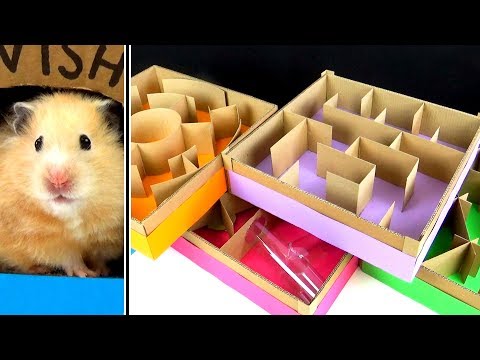 DIY-Hamsterlabyrinth auf fünf Stockwerken lyteCache.php?origThumbUrl=https%3A%2F%2Fi.ytimg.com%2Fvi%2FfSOlMGveK8I%2F0 