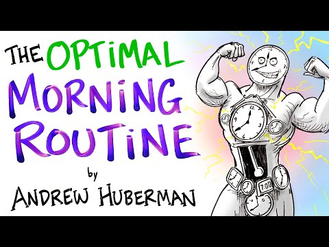 Die optimale Morgenroutine nach Andrew Huberman lyteCache.php?origThumbUrl=https%3A%2F%2Fi.ytimg.com%2Fvi%2FgR_f-iwUGY4%2F0 