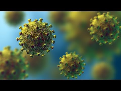 Coronavirus: Erklärung, Fakten, Sachlage lyteCache.php?origThumbUrl=https%3A%2F%2Fi.ytimg.com%2Fvi%2FkIL5m5XznNY%2F0 