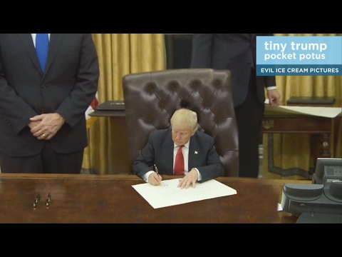 Tiny Trump lyteCache.php?origThumbUrl=https%3A%2F%2Fi.ytimg.com%2Fvi%2Fp9_fw6j13s0%2F0 