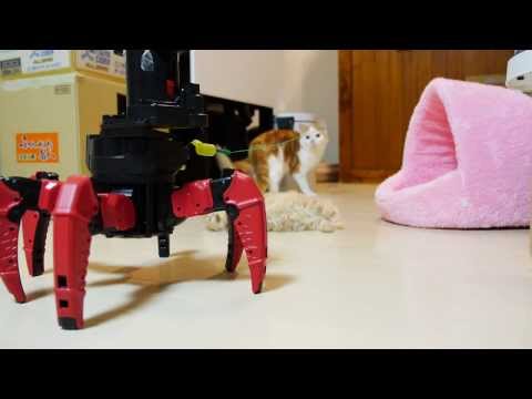 Katzen vs. Roboter lyteCache.php?origThumbUrl=https%3A%2F%2Fi.ytimg.com%2Fvi%2Fqv1nXXSB65E%2F0 