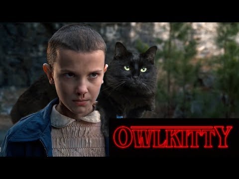 OwlKitty packt seine Katze in Serien, Filme und Musikvideos lyteCache.php?origThumbUrl=https%3A%2F%2Fi.ytimg.com%2Fvi%2FrS8WhE8xI4U%2F0 