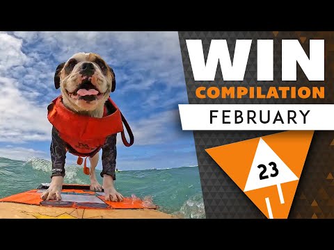 WIN Compilation Februar 2023 lyteCache.php?origThumbUrl=https%3A%2F%2Fi.ytimg.com%2Fvi%2FsMvuYRxHtPM%2F0 