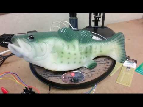 Alexa spricht aus einem Roboter-Fisch lyteCache.php?origThumbUrl=https%3A%2F%2Fi.ytimg.com%2Fvi%2Fvn4YlAlHn-Y%2F0 